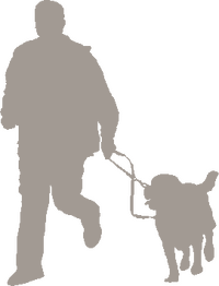 Sport und Spaß mit Hund