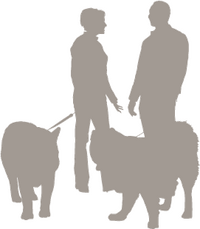 Entspannt leben mit Hund