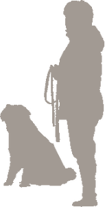 Mensch und Hund - ein Team